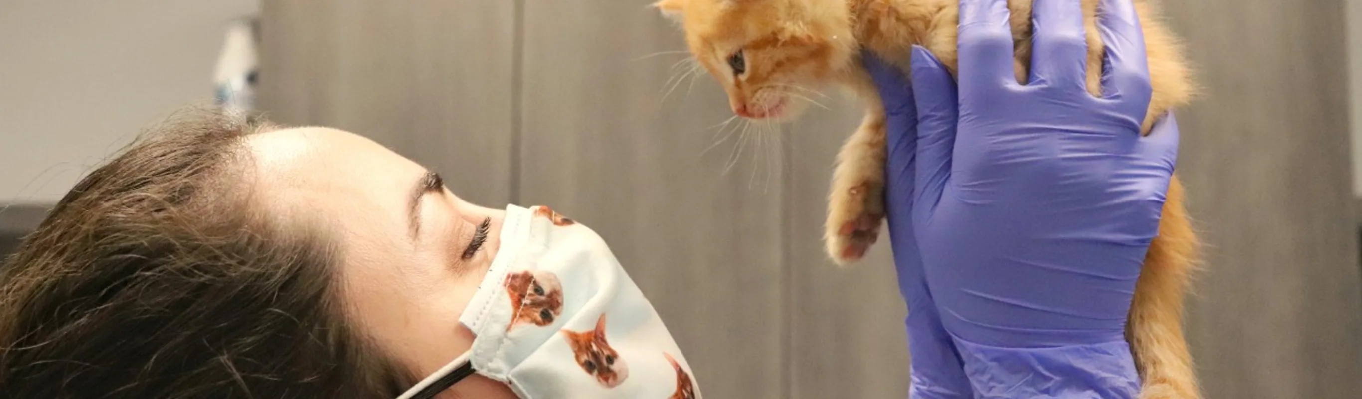 Woman holding tiny orange kitten.